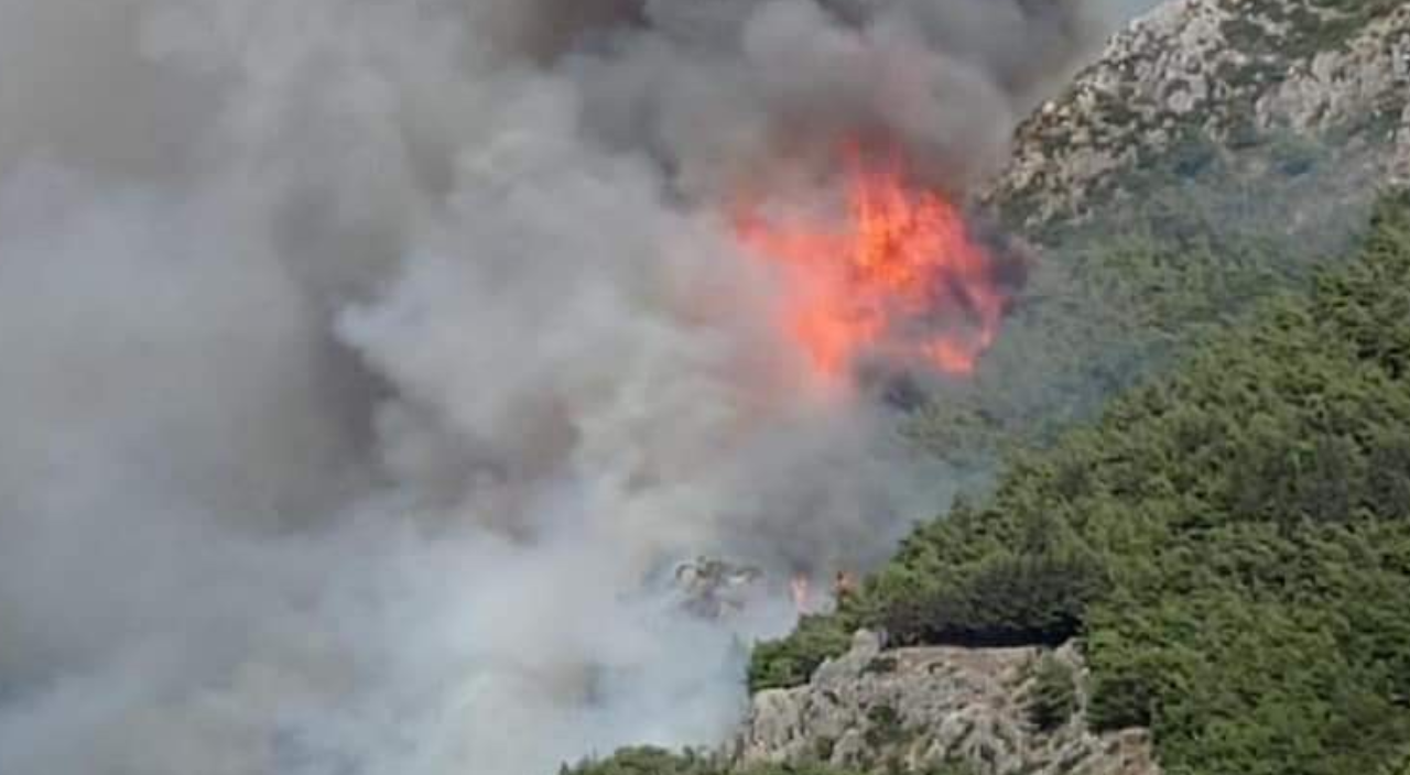 Hatay'da orman yangını! Havadan ve karadan müdahale ediyor
